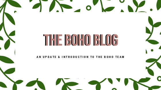 MEET THE BOHO LOCS TEAM!!!