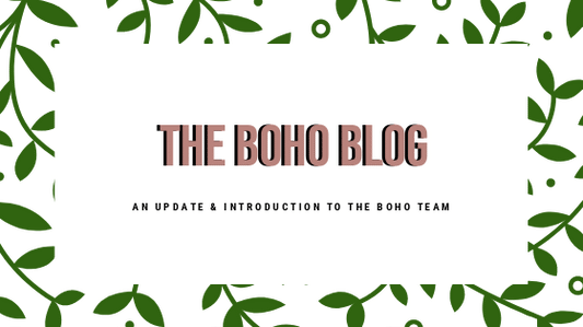 MEET THE BOHO LOCS TEAM!!!