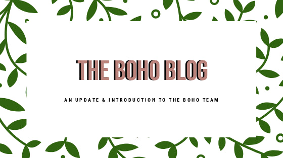 MEET THE BOHO LOCS TEAM!!!
