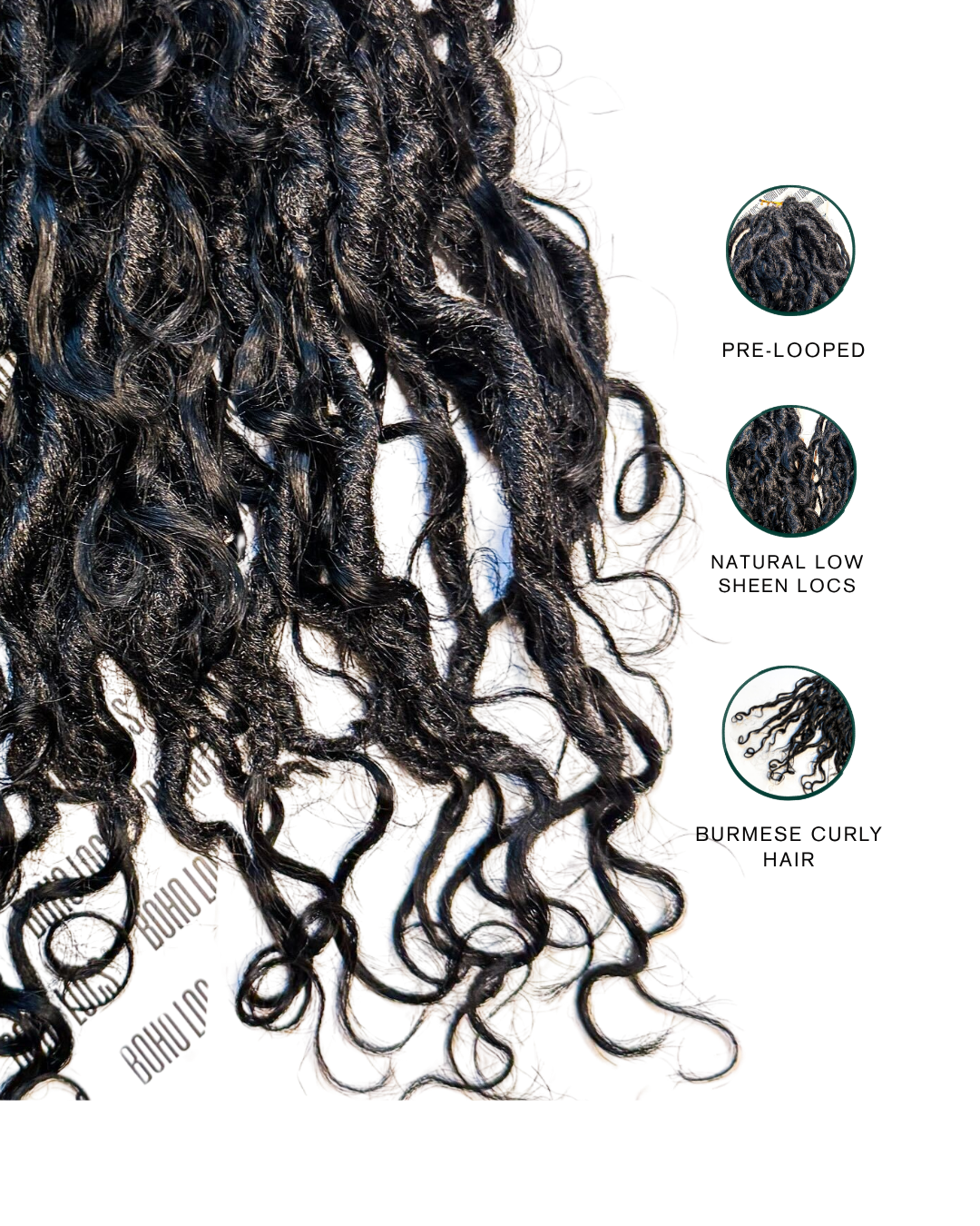 Burmese Curly Human Hair Hybrid Locs in Naturel 22"