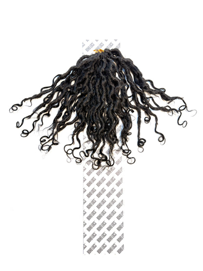 Burmese Curly Human Hair Hybrid Locs in Naturel 12"
