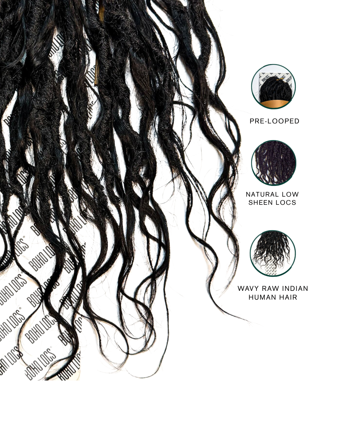 Raw Indian Human Hair Hybrid Locs in Naturel 12"